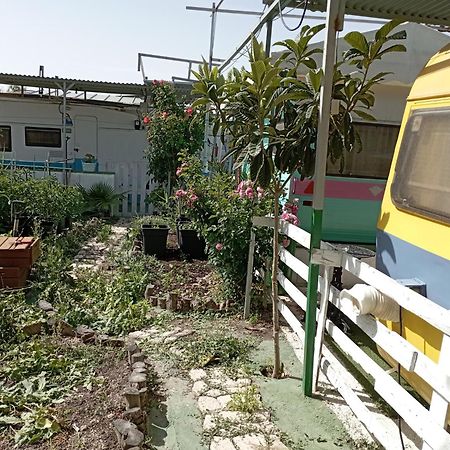 Camping Mascotas cerca de Alicante Hostal Sax Exterior foto
