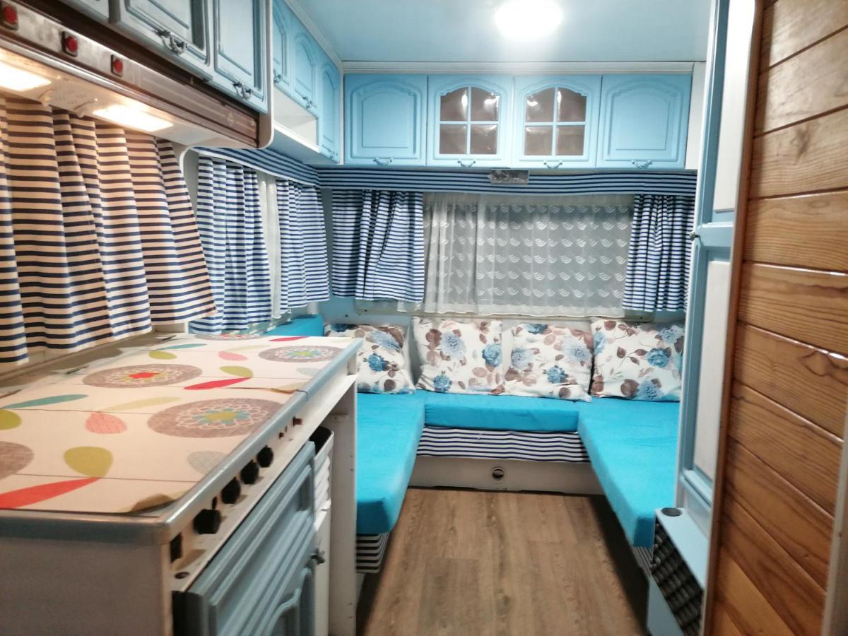 Camping Mascotas cerca de Alicante Hostal Sax Exterior foto