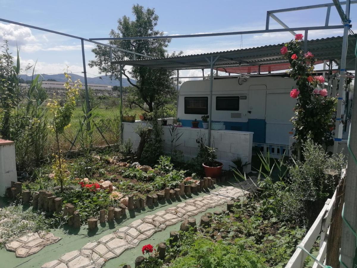 Camping Mascotas cerca de Alicante Hostal Sax Exterior foto