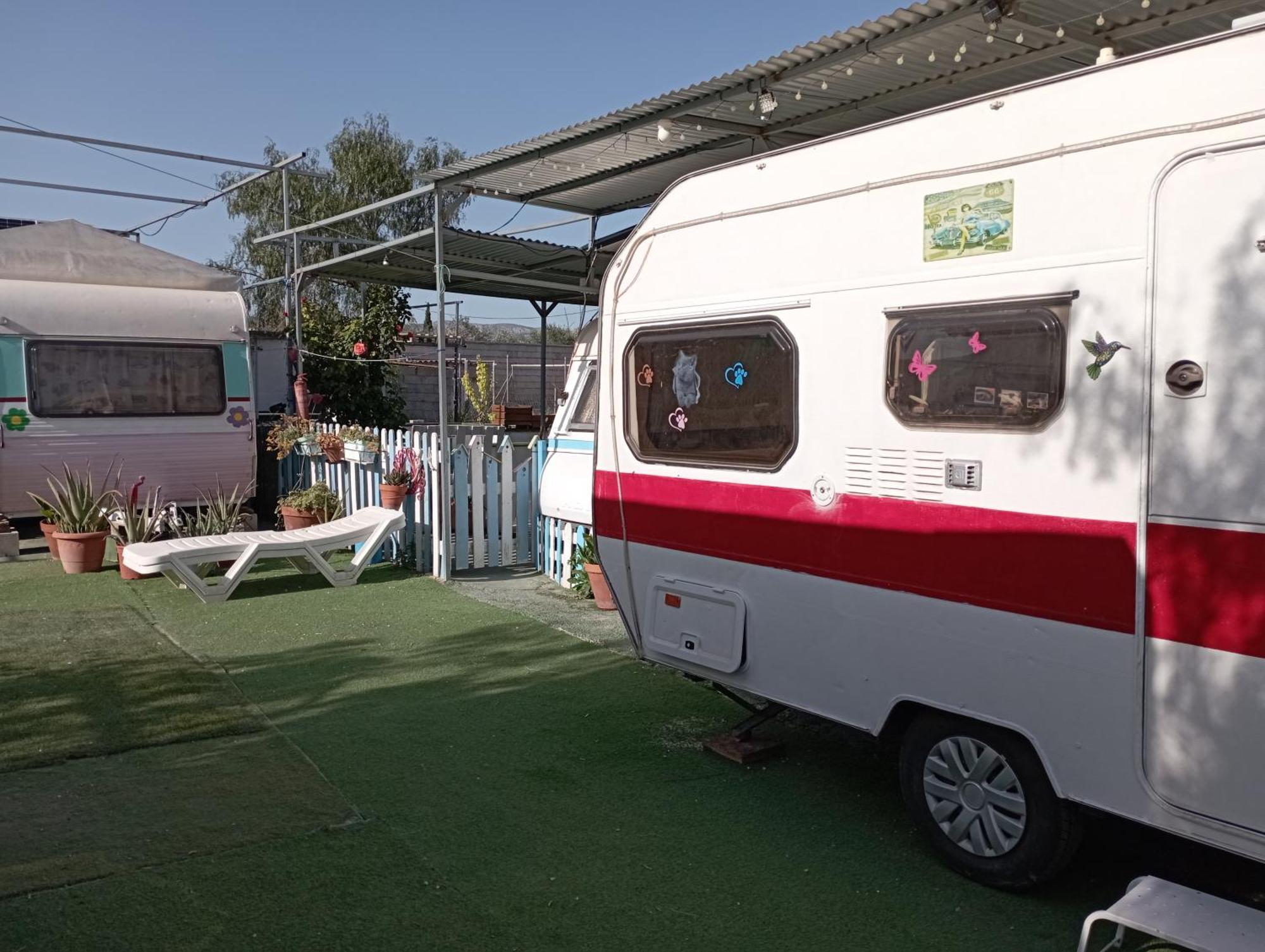 Camping Mascotas cerca de Alicante Hostal Sax Habitación foto